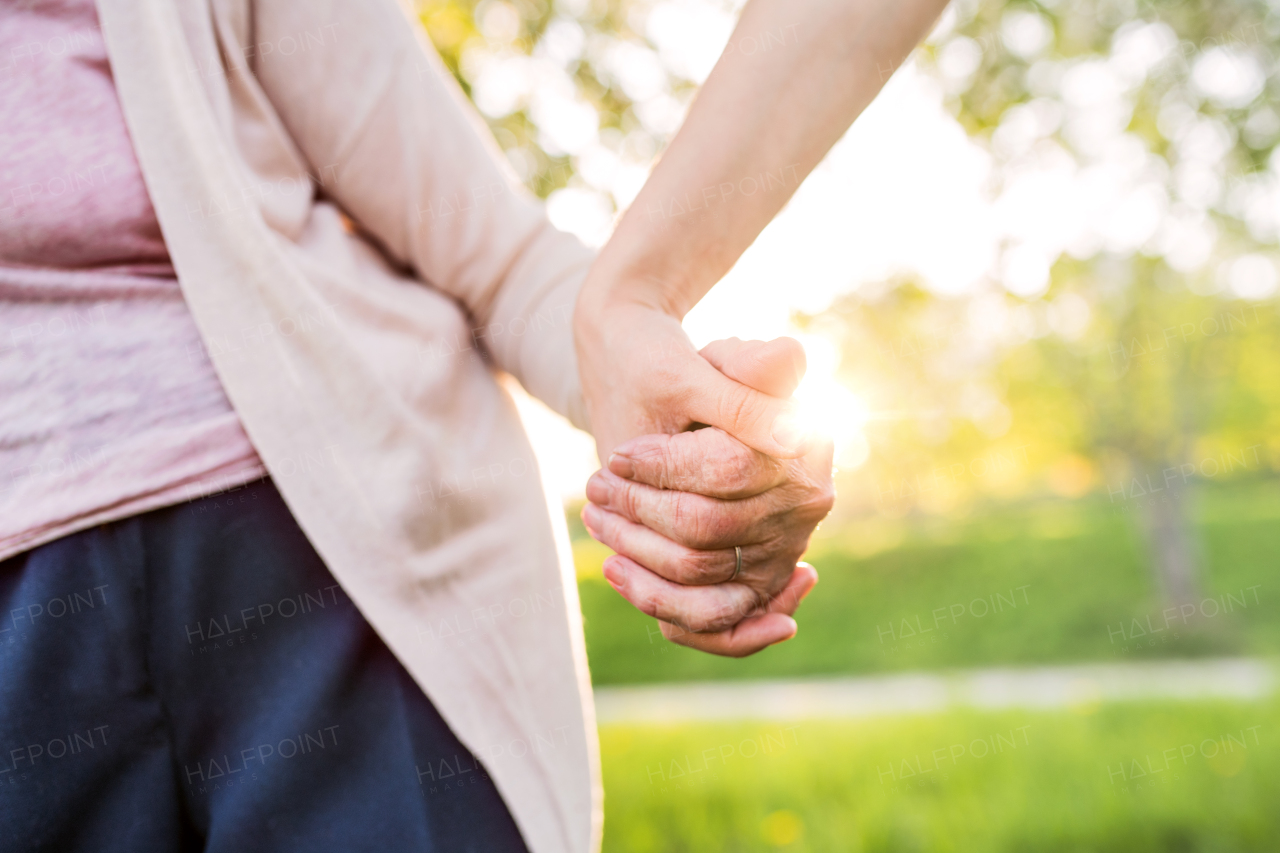 Unrecognizable grandmother and a granddaughter outside on a walk in spring nature, holding hands.