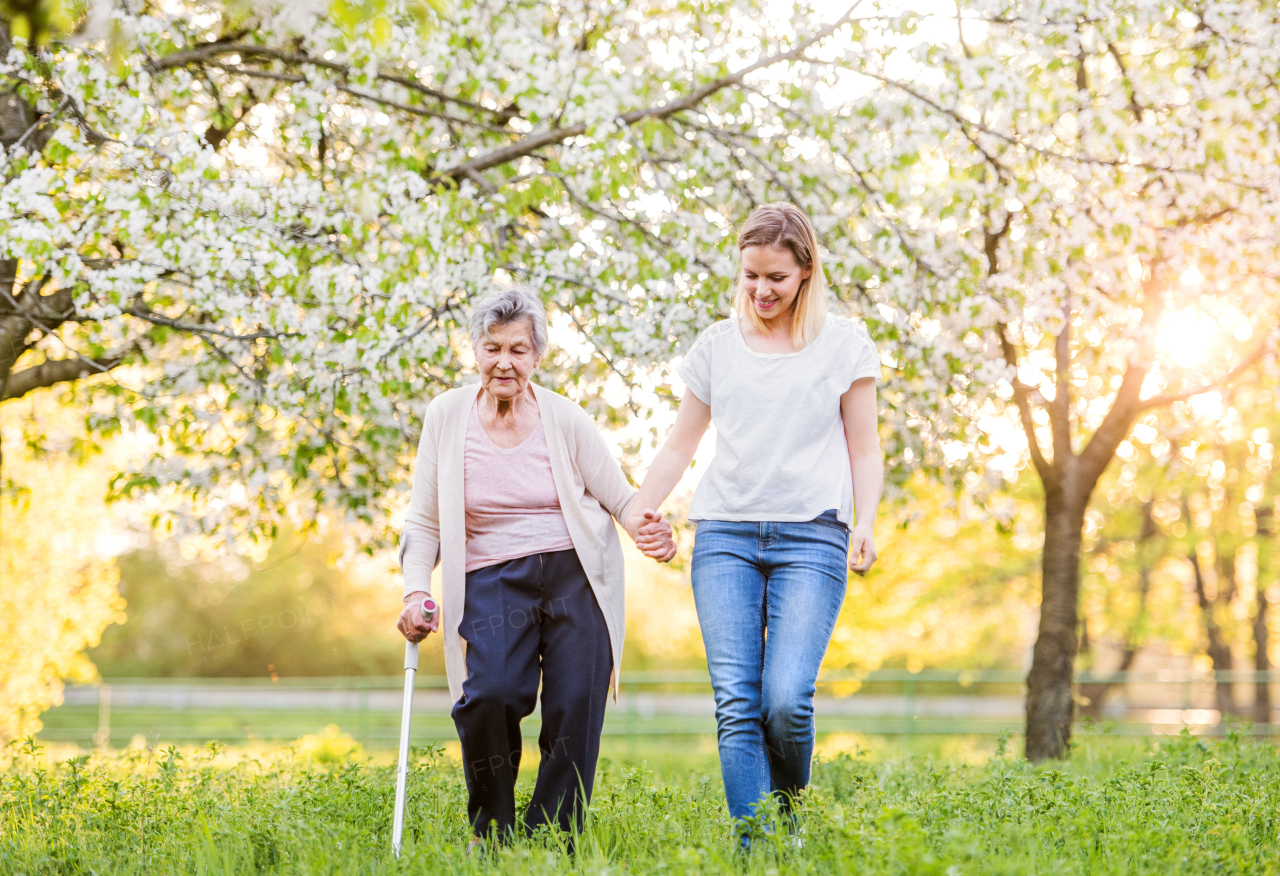 Elderly grandmother with forearm crutch and an adult granddaughter walking outside in spring nature.