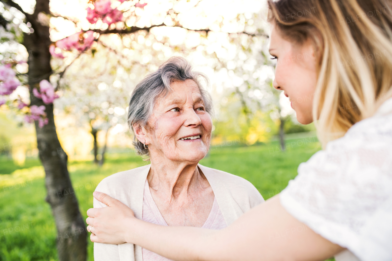 Elderly grandmother and an adult granddaughter outside in spring nature, talking.