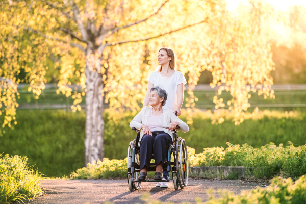 Elderly grandmother in wheelchair with an adult granddaughter outside in spring nature.