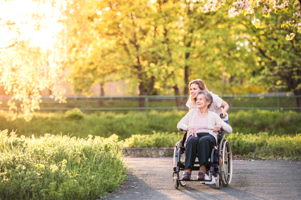 Elderly grandmother in wheelchair with an adult granddaughter outside in spring nature.