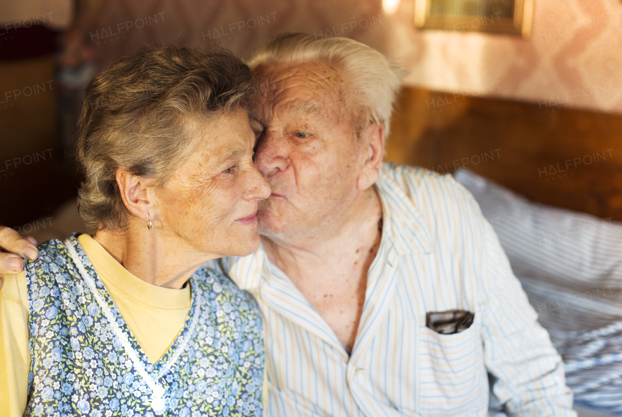 Visitting the grandmother and the grandfather, summer time.