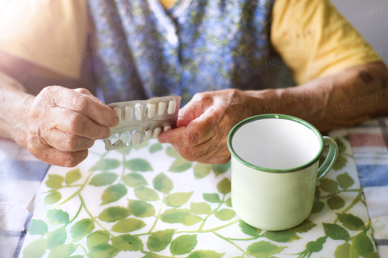 Pretty senior woman spending time at home.