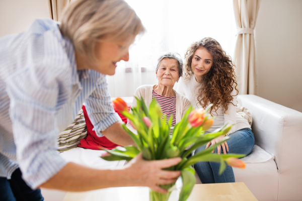 A teenage girl, her mother and grandmother at home. Family and generations concept.