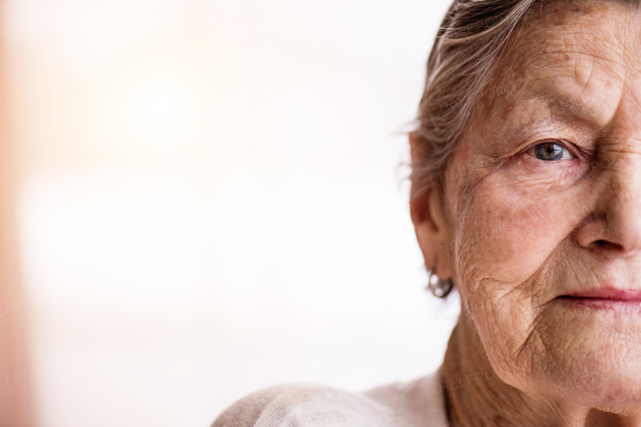 Portrait of a happy senior woman at home. Close up. Copy space.