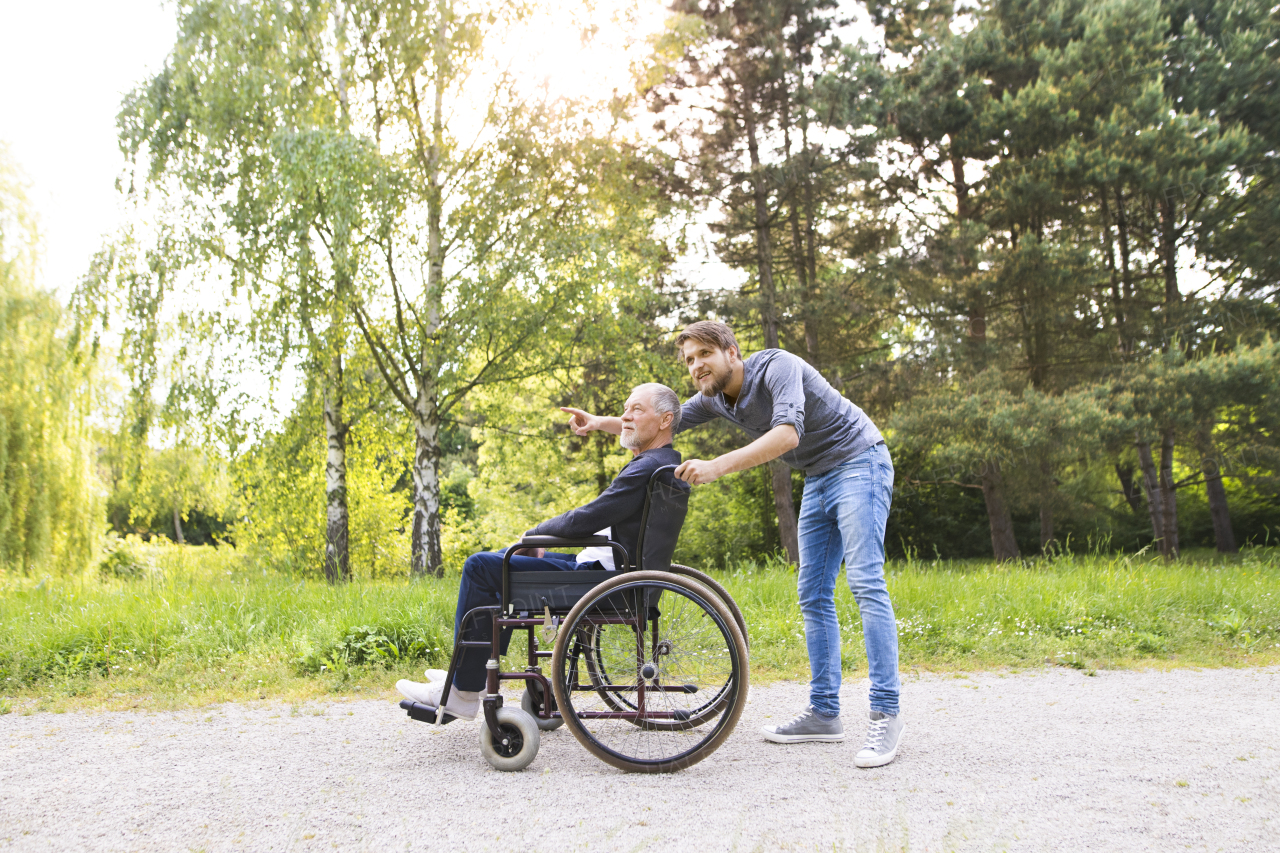 Young hipster son walking with disabled father in wheelchair at park, pointing finger at something. Carer assisting disabled senior man.