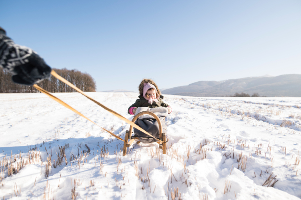 Unrecognizable mother pulling her little daughter on sledge, sunny white winter nature.