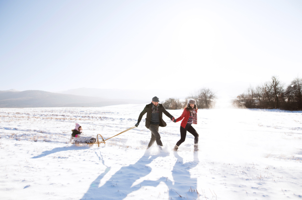 Mother and father pulling daughter on sledge, running. Beautiful family in sunny winter nature.