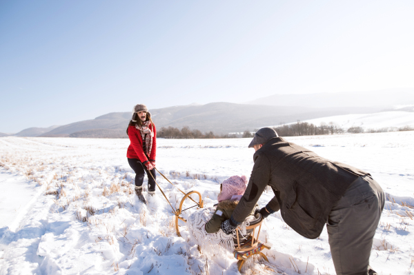 Father pushing daughter on sledge, mother pulling her. Beautiful family in sunny winter nature.