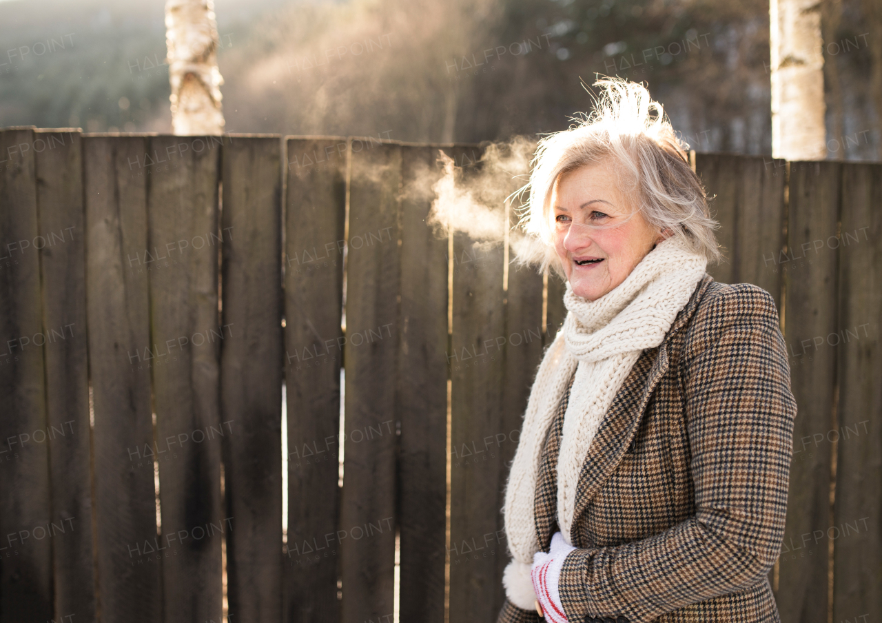 Beautiful senior woman on a walk in sunny winter nature, standing against wooden fence.