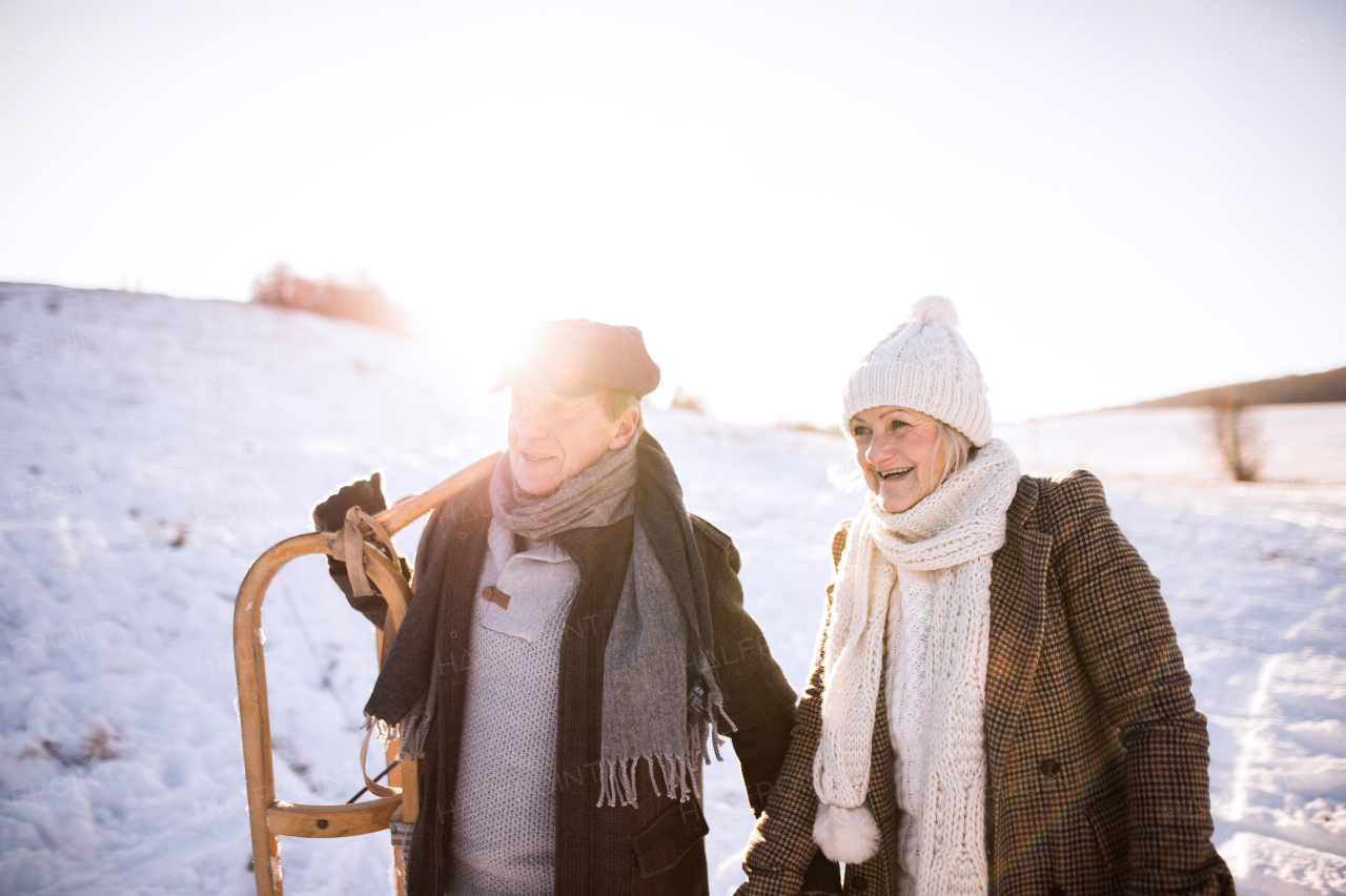 Beautiful senior woman and man carrying sled, having fun in sunny winter nature.