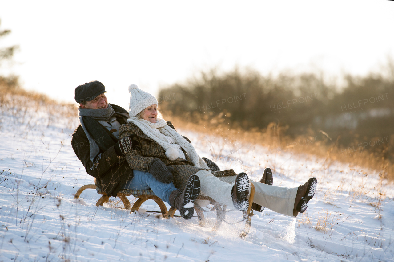 Beautiful senior woman and man on sledge having fun in sunny winter nature.