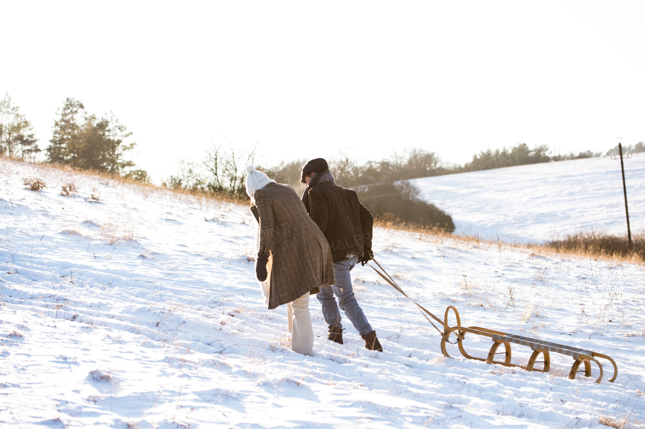 Beautiful senior woman and man on a walk in sunny winter nature, pulling sledge up the hill. Rear view.