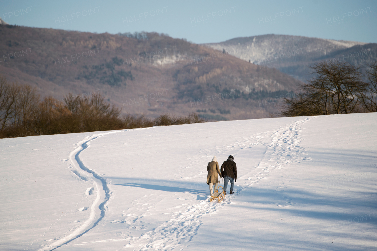 Senior woman and man on a walk in sunny winter nature, pulling sledge up the hill. Rear view.