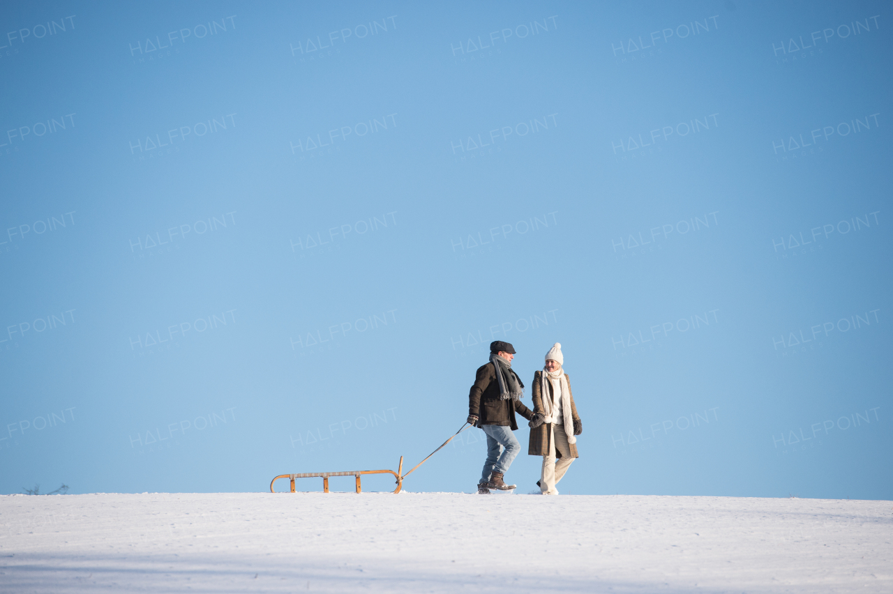 Beautiful senior woman and man on a walk in sunny winter nature, pulling sledge.