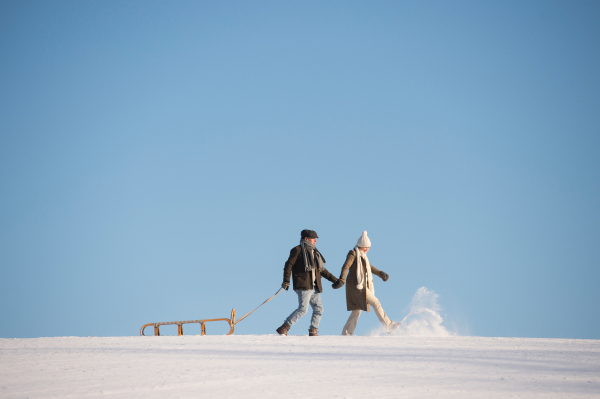 Beautiful senior woman and man on a walk in sunny winter nature, pulling sledge.