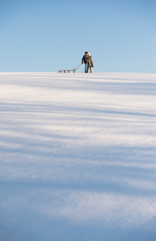 Beautiful senior woman and man on a walk in sunny winter nature, pulling sledge.