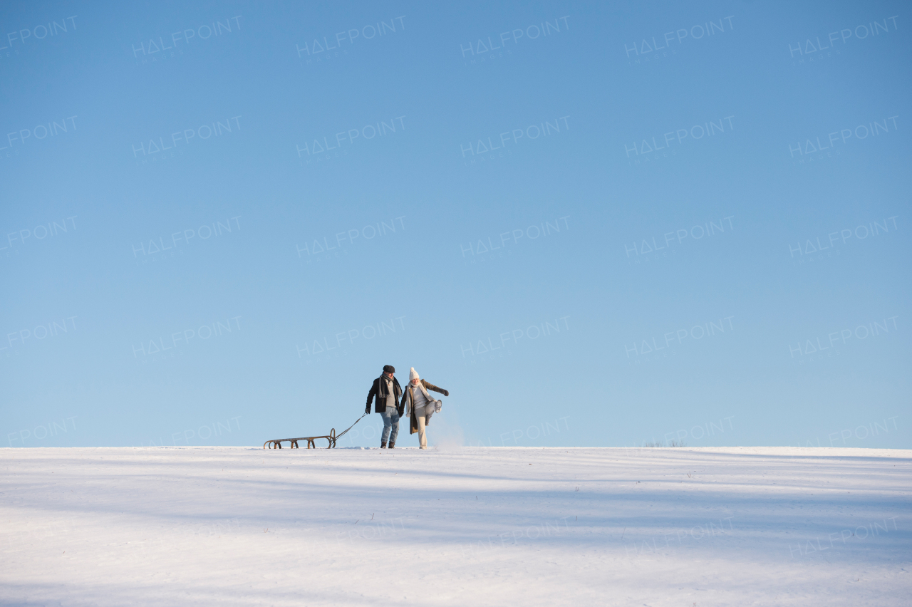 Beautiful senior woman and man on a walk in sunny winter nature, pulling sledge.