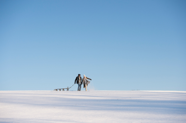 Beautiful senior woman and man on a walk in sunny winter nature, pulling sledge.