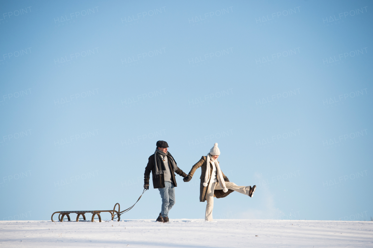 Beautiful senior woman and man on a walk in sunny winter nature, pulling sledge.