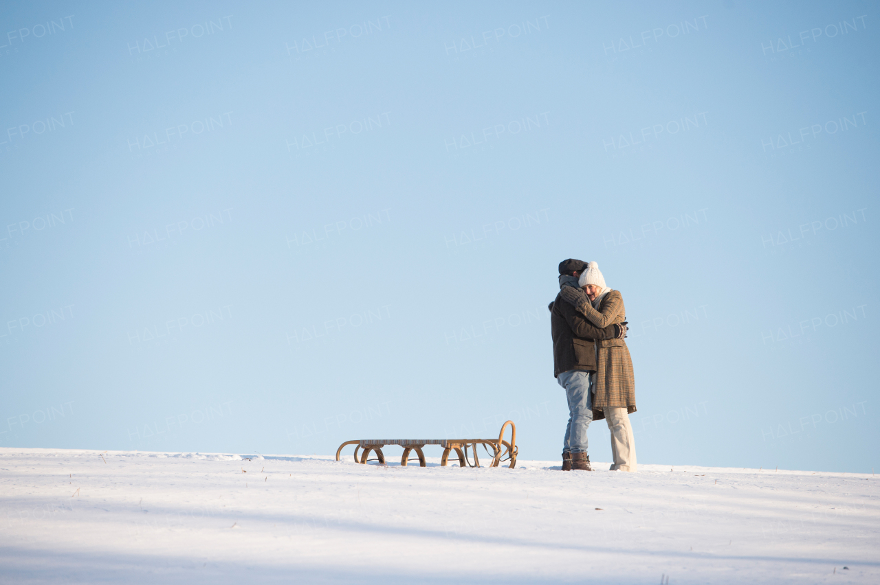 Beautiful senior woman and man on a walk in sunny winter nature, pulling sledge.