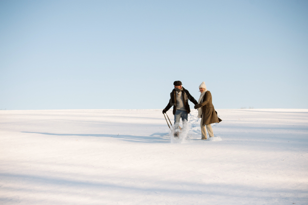 Beautiful senior woman and man on a walk in sunny winter nature, pulling sledge.