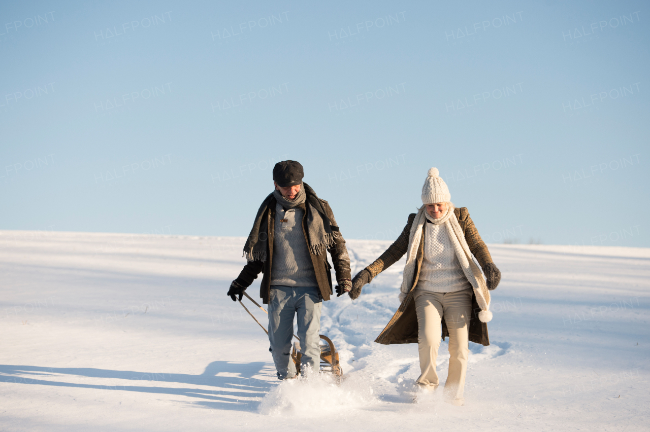 Beautiful senior woman and man on a walk in sunny winter nature, pulling sledge.