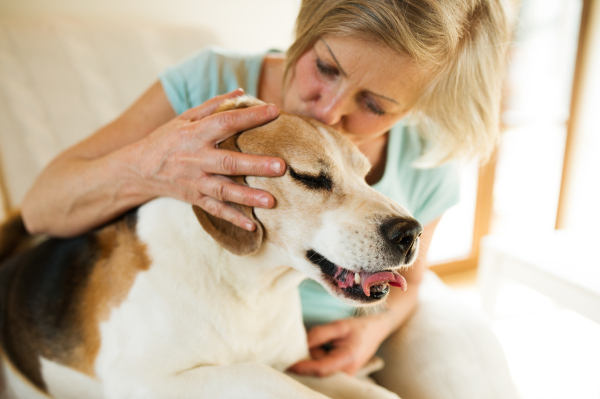 Beautiful senior woman with her dog at home sitting on couch, relaxing, giving him a kiss