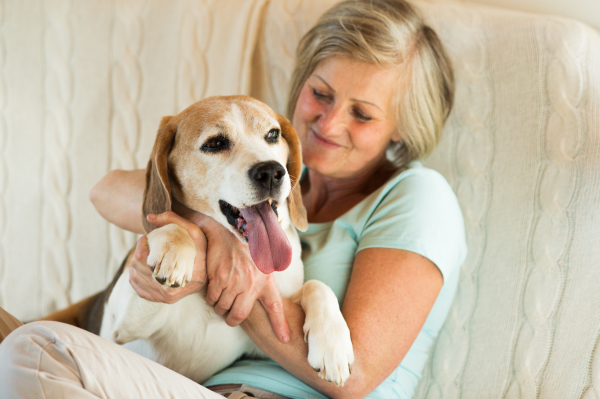 Beautiful senior woman with her dog at home sitting on couch, relaxing