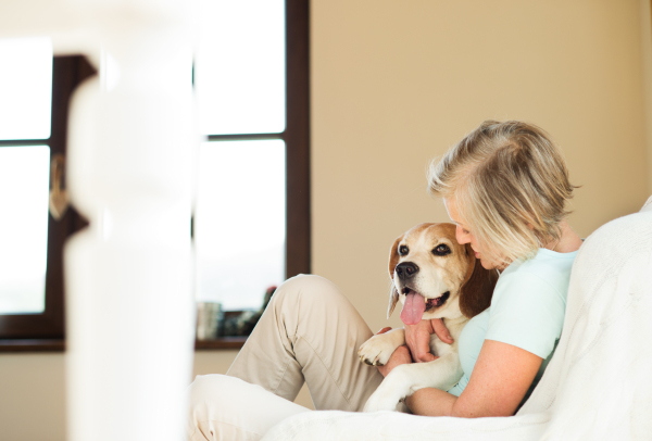 Beautiful senior woman with her dog at home sitting on couch, relaxing