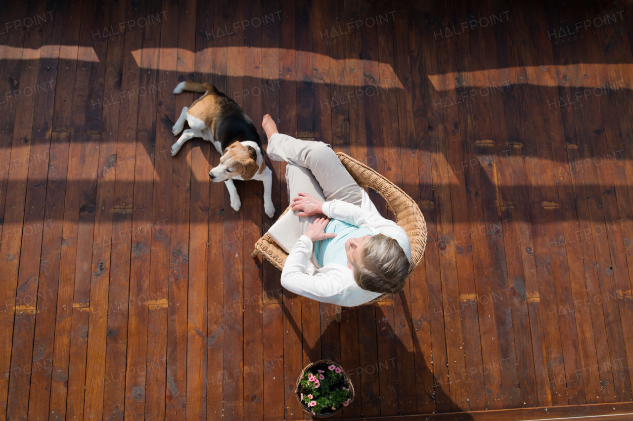 Beautiful senior woman with her dog at home, sitting on rattan chair on wooden terrace, relaxing