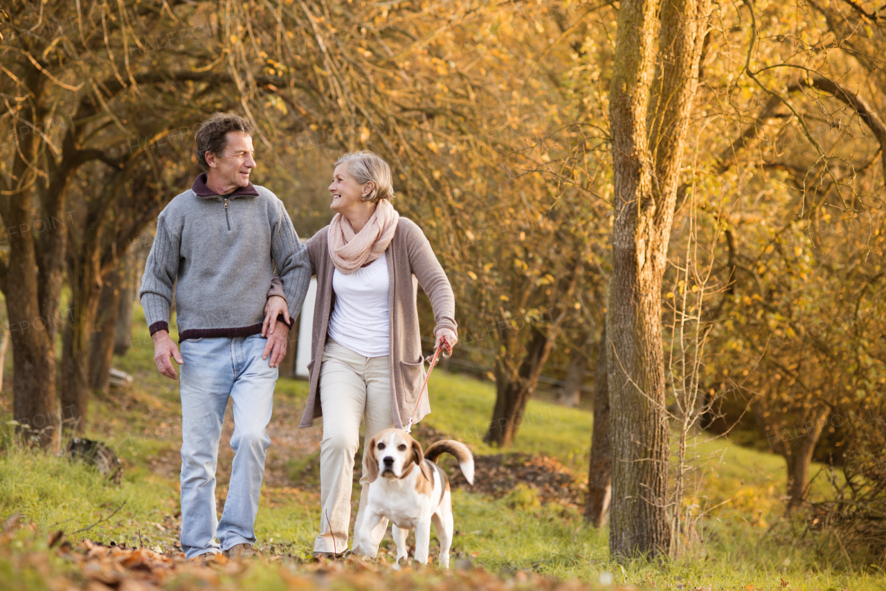 Couple with dog in autumn nature.