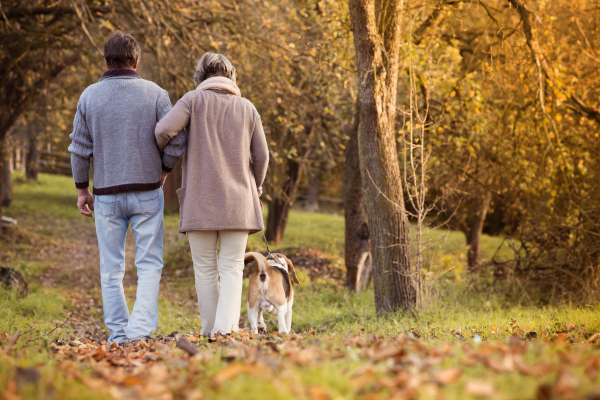 Couple with dog in autumn nature.