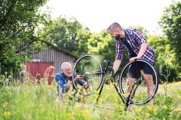 An adult hipster son and senior father repairing bicycle outside on a sunny summer day.