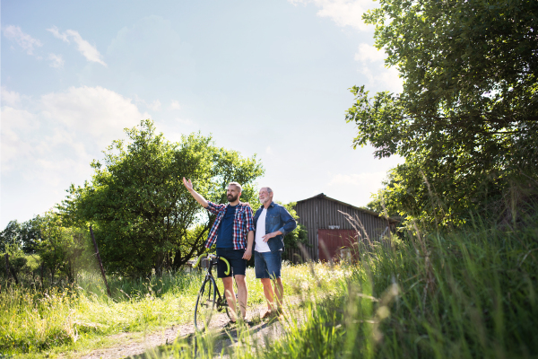 An adult hipster son with bicycle and senior father walking on a road in sunny nature. Copy space.