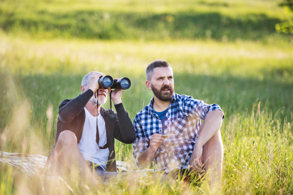 An adult hipster son and his senior father sitting on the grass in sunny nature, using binoculars.