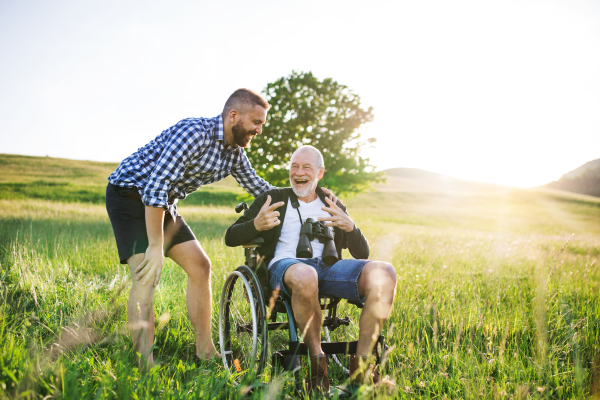 An adult hipster son with his senior father in wheelchair on a walk on a meadow in nature at sunset.