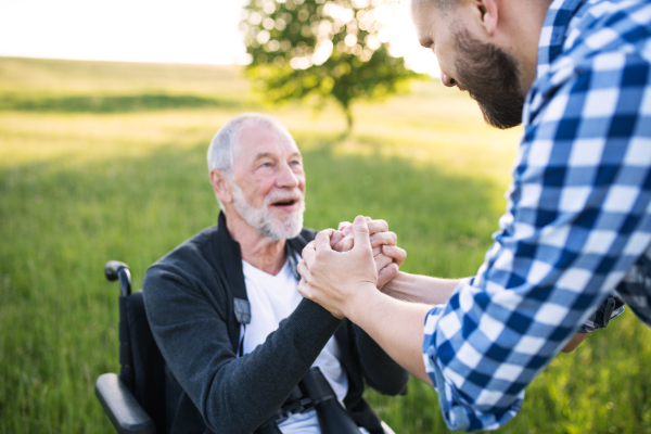 An adult hipster son with his senior father in wheelchair on a walk on a meadow in nature at sunset. Close up.