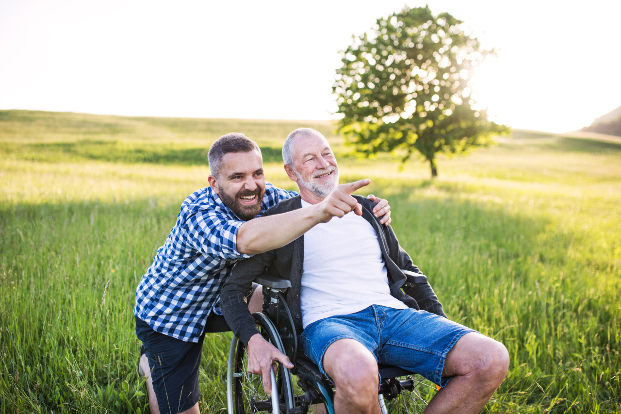 An adult hipster son with his senior father in wheelchair on a walk on a meadow in nature at sunset.