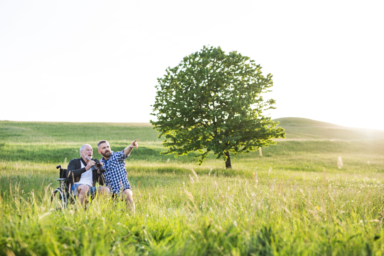 An adult hipster son with his senior father in wheelchair on a walk on a meadow in nature at sunset.