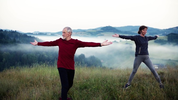 Senior couple runners stretching on meadow outdoor in foggy morning in nature. Slow motion.