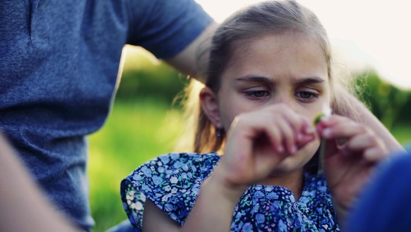 A small girl with her unrecognizable father picking petals off a flower in spring nature. Slow motion.