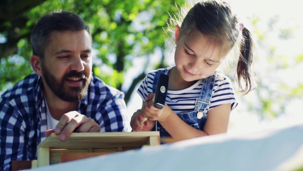 Father with a small daughter outside, making wooden birdhouse or bird feeder. A little girl hammering a nail. Slow motion.