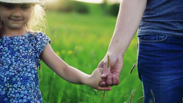 Unrecognizable father with a small daughter on a walk in spring nature at sunset. Slow motion.