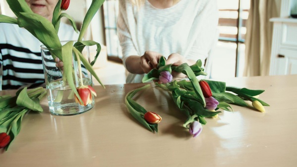 Unrecognizable elderly grandmother with an adult granddaughter at home. Women putting flowers in a vase.