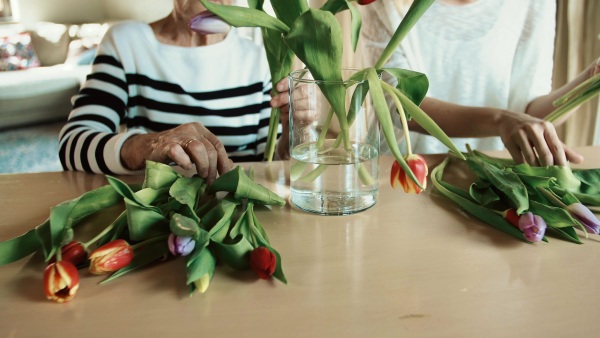 Unrecognizable elderly grandmother with an adult granddaughter at home. Women putting flowers in a vase.