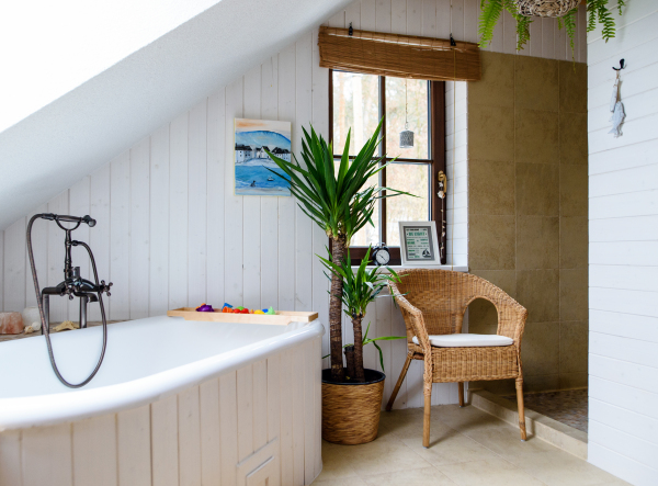 Potted plant and wicker chair in bathroom indoors at home.