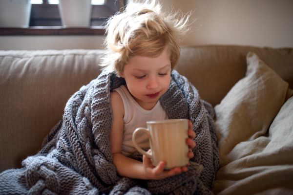 Front view of sick small boy with blanket sitting on sofa indoors at home, holding tea.