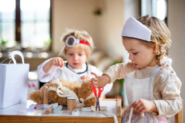 Two small children with doctor uniforms and stethoscope indoors at home, playing.