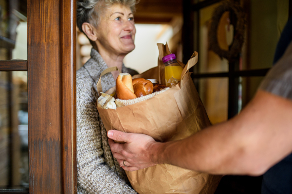 Unrecognizable courier delivering shopping in paper bag to senior woman.